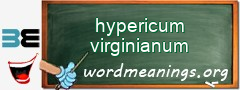 WordMeaning blackboard for hypericum virginianum